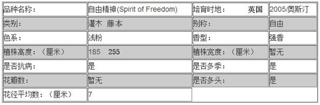 为一个优秀的月季品种正名—自由精神