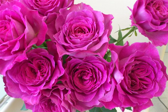 伊芙蓝宝石