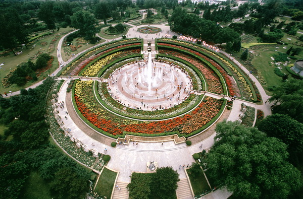 北京植物园月季园