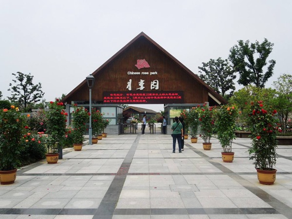 盛泽湖月季园.jpg