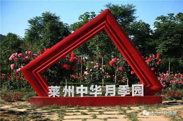 莱州中华月季园.jpg