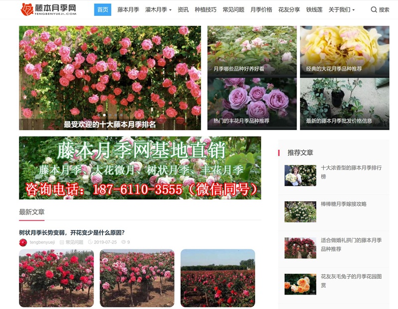 中国月季网、南阳月季网、月季网这几家月季网站有什么不同