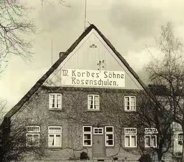 拿了83个ADR的月季育种公司：W. Kordes' Söhne