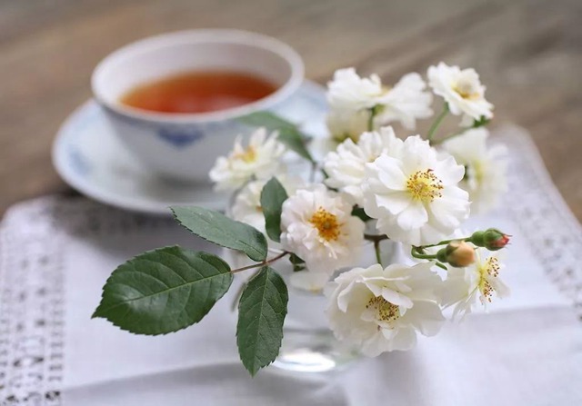 阳台种植藤本月季花柱，从零开始打造实录