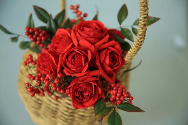 红苹果Red Apple Rose