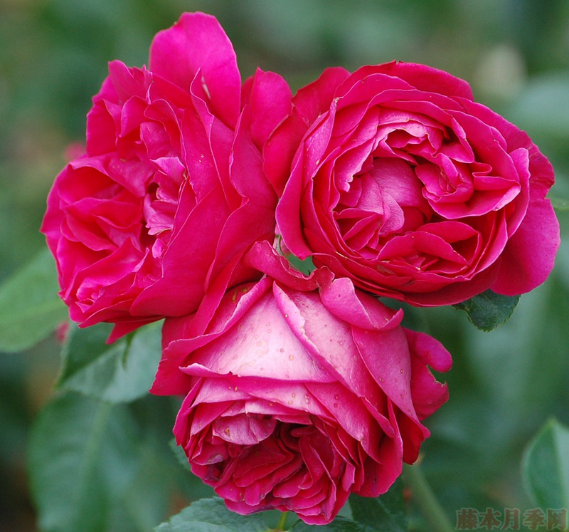 1582528327333178.jpg 21.jpg