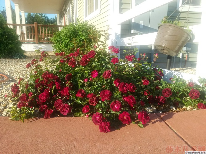 1582528345409710.jpg 23.jpg