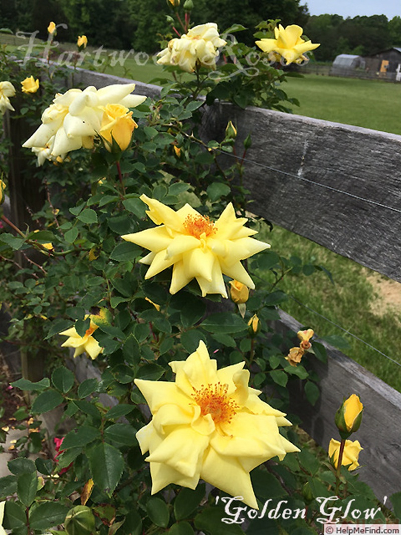 1582528386806702.jpg 28.jpg