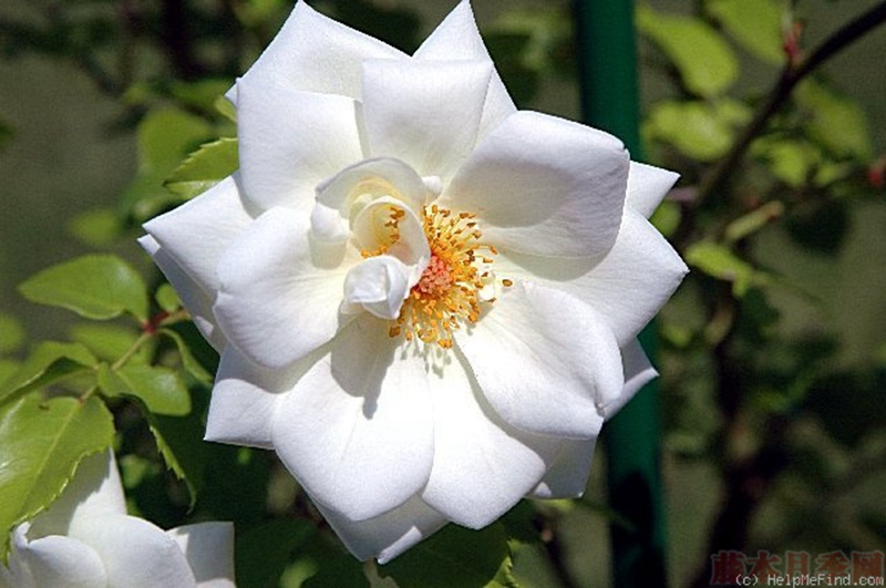 1582528393589789.jpg 29.jpg