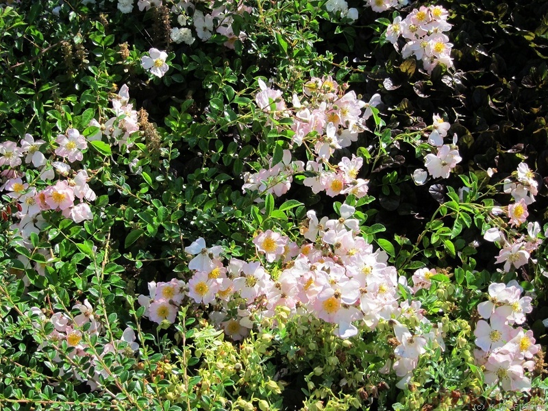 1582528413827904.jpg 31.jpg