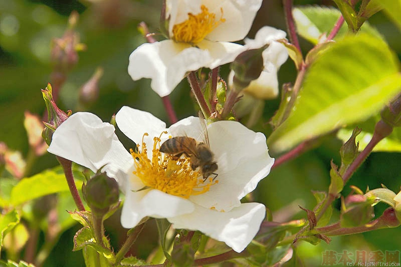 1582528446200765.jpg 35.jpg