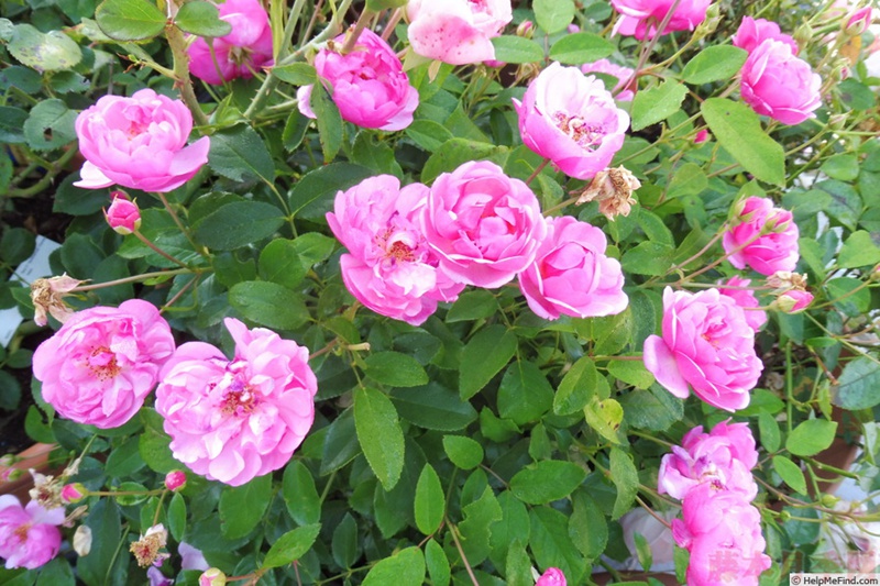 1582528549912900.jpg 46.jpg