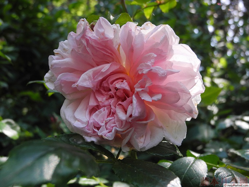 1582528634545210.jpg 54.jpg