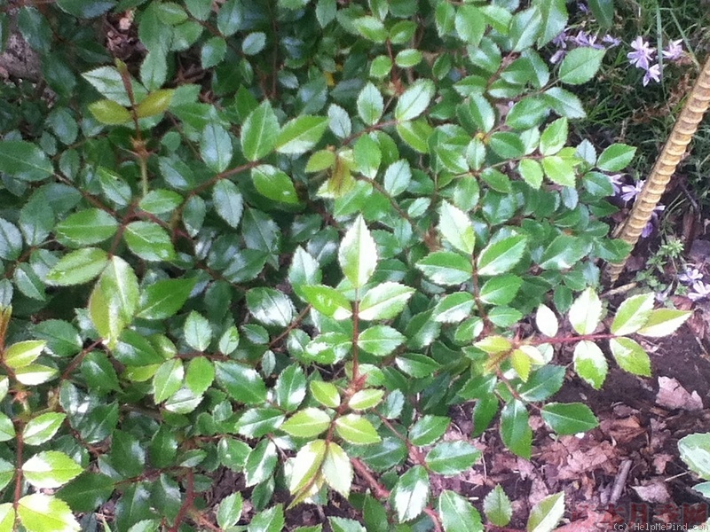 1582528641221153.jpg 55.jpg