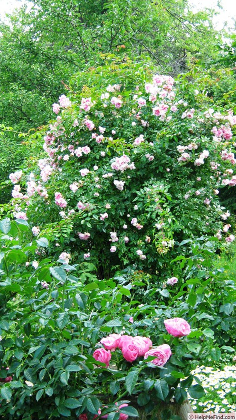 1582528647651545.jpg 56.jpg