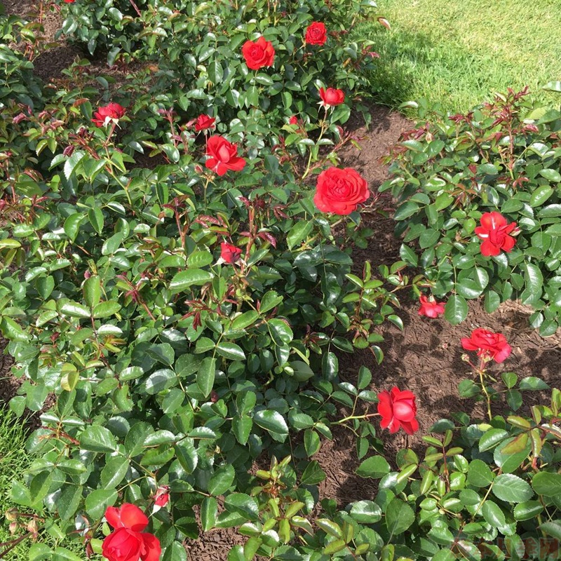 1582528673253060.jpg 58.jpg