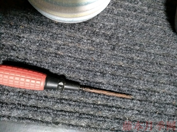 使用一次性兼杯扦插月季过程分享