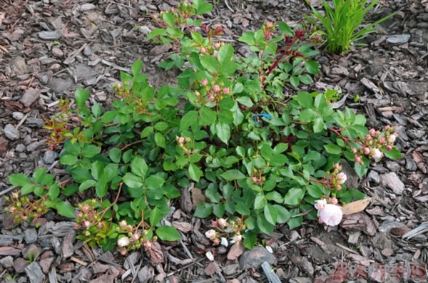 1584028736514496.jpg 14.jpg