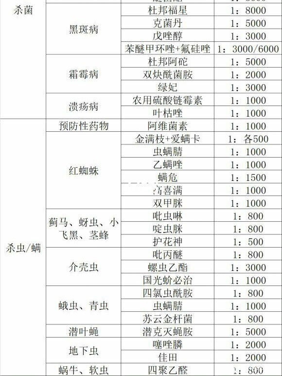 一张图详细教你怎么打造爆花盆栽月季