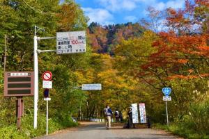 日本最美月季花园——中之岛公园