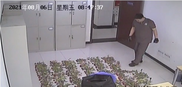 1628852406738319.jpg 1_副本.jpg