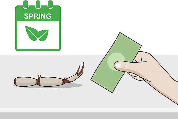 种植莲花的三种方法 种植莲花的三种方法