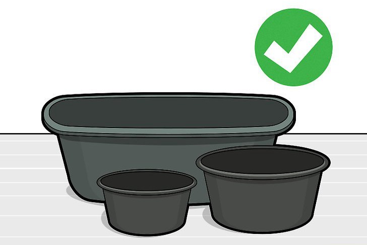 种植莲花的三种方法 种植莲花的三种方法