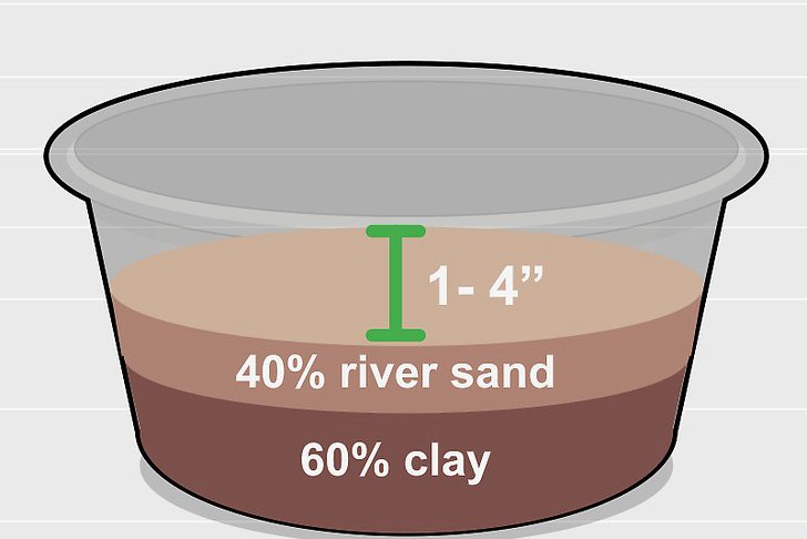 种植莲花的三种方法 种植莲花的三种方法