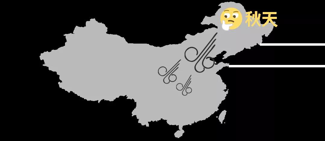月季秋季复花指南 月季秋季复花指南