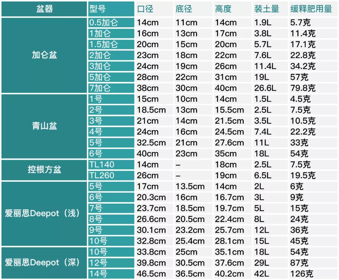 月季秋季复花指南