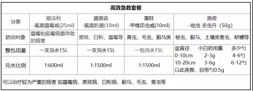 月季病虫害防治与用药大全