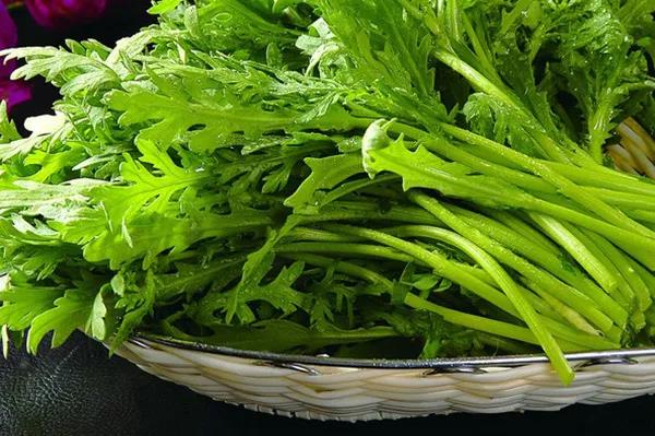 秋季播种春季开花的草花品种推荐
