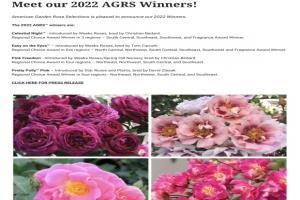 2022年全美花园月季优选AGRS得主出炉