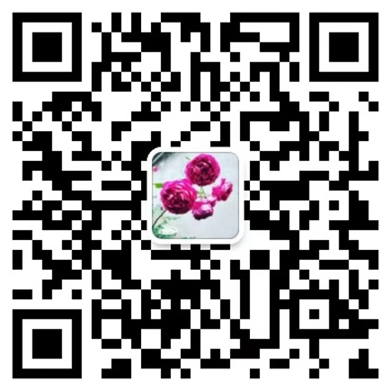 d1393ecee1dacfafd6393fda6c9f51d.jpg