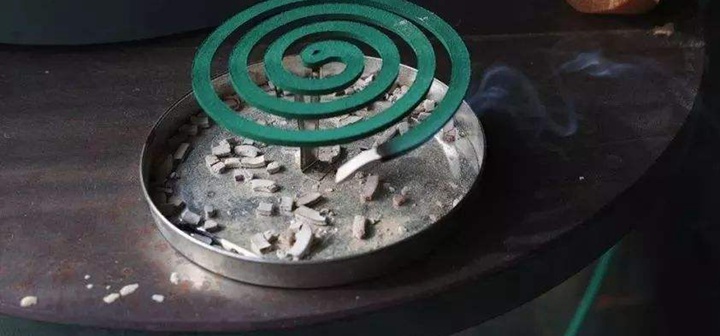 盘点那些非常规的养花材料