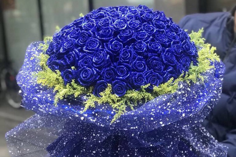 蓝玫瑰代表什么意思(蓝玫瑰的花语)
