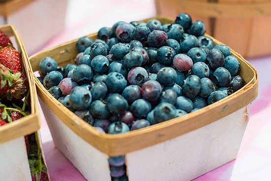 花园里种植蓝莓的技巧及注意事项