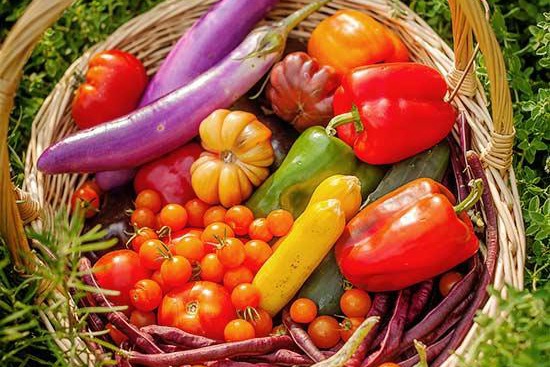 蔬菜种植最容易犯的十个错误！
