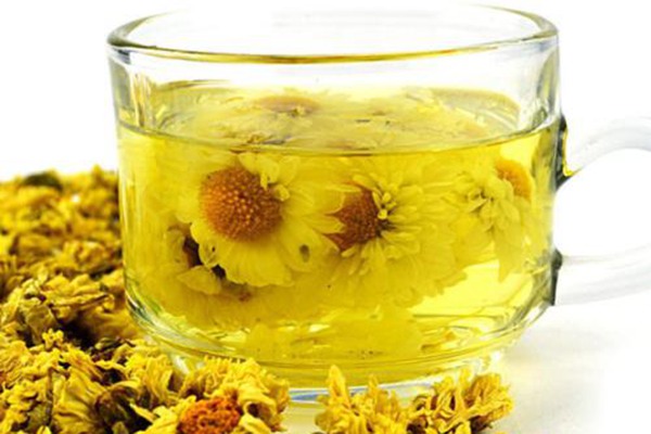 野菊花可以直接泡水喝吗