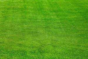 足球场草坪维护费用都有哪些？