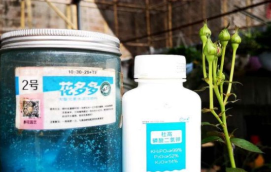 磷酸二氢钾好还是花多多2号好