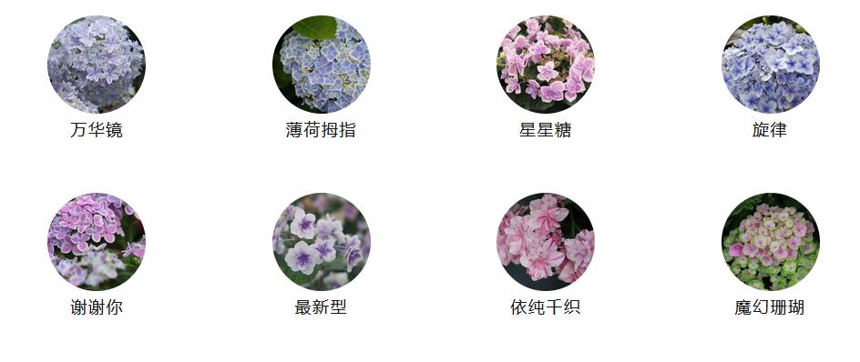 1686271225166119.jpg QQ截图20230609083930.jpg