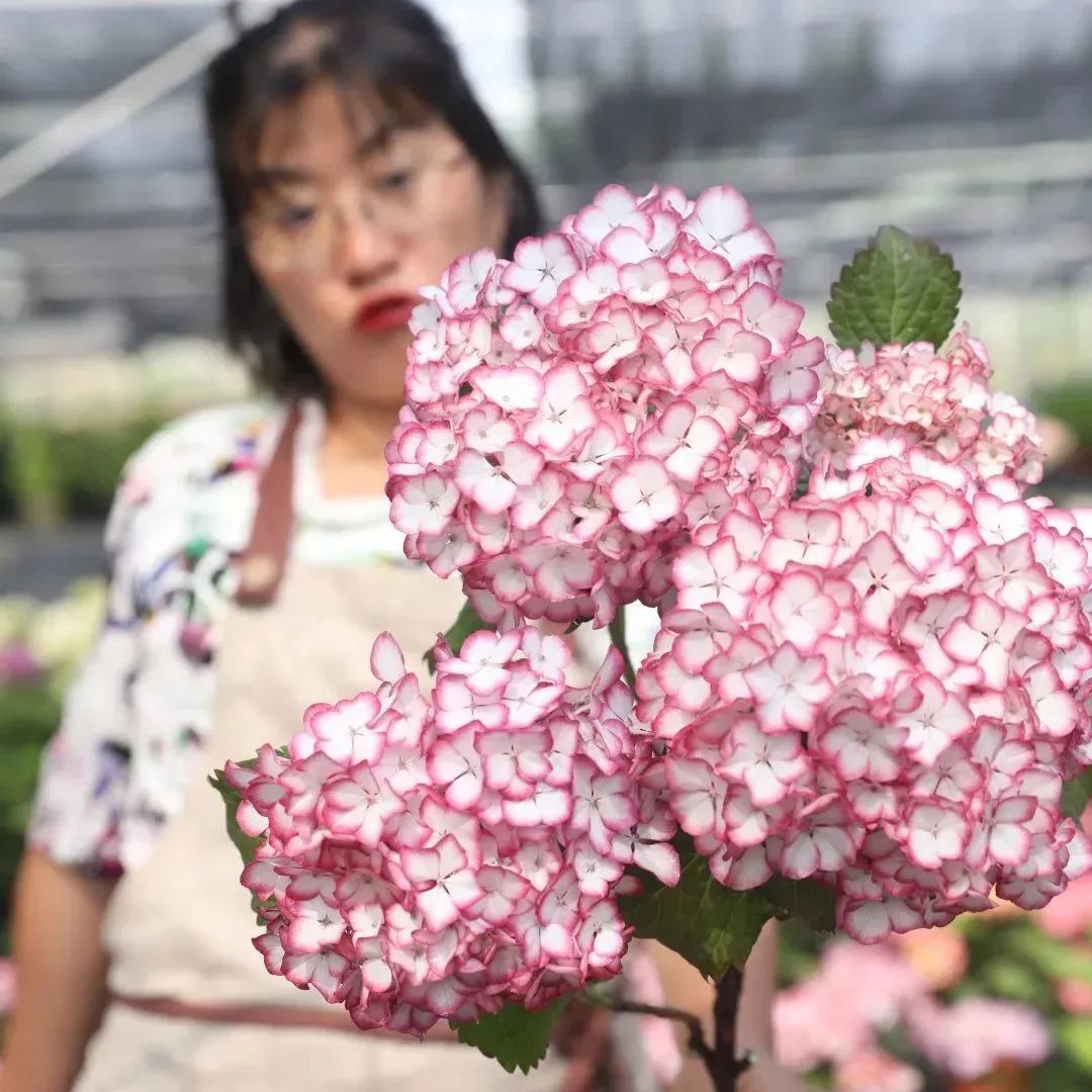 1686271320566496.jpg 3.jpg