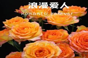 浪漫爱人Romantic Rosever