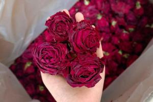 墨红玫瑰花和普通玫瑰花作用区别