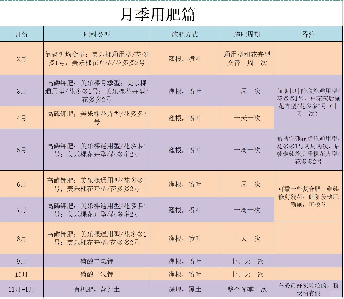 月季什么时候施肥最好