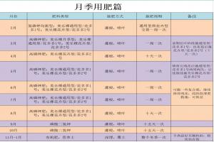 月季什么时候施肥最好