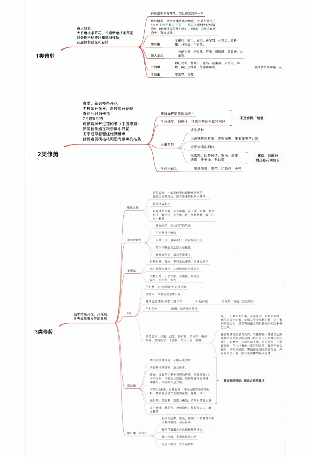 铁线莲一类二类三类品种有什么区别？