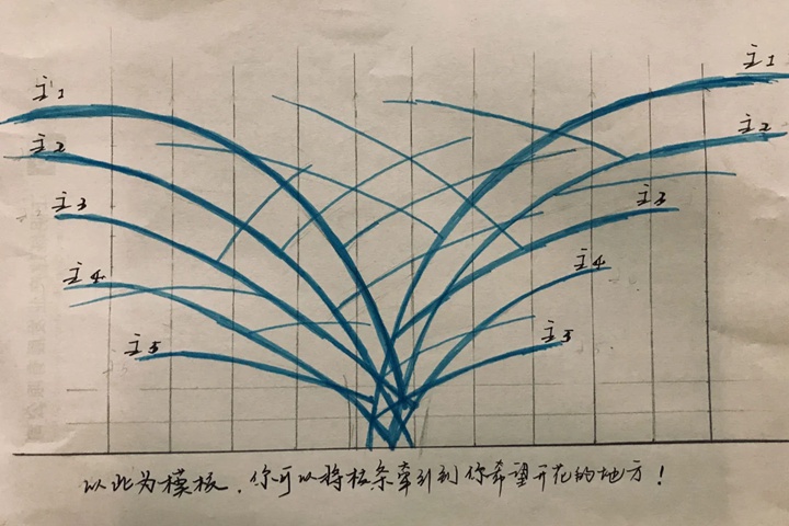 藤本月季的修剪和牵引详细攻略