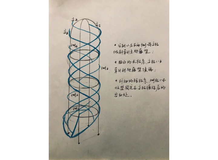 藤本月季的修剪和牵引详细攻略